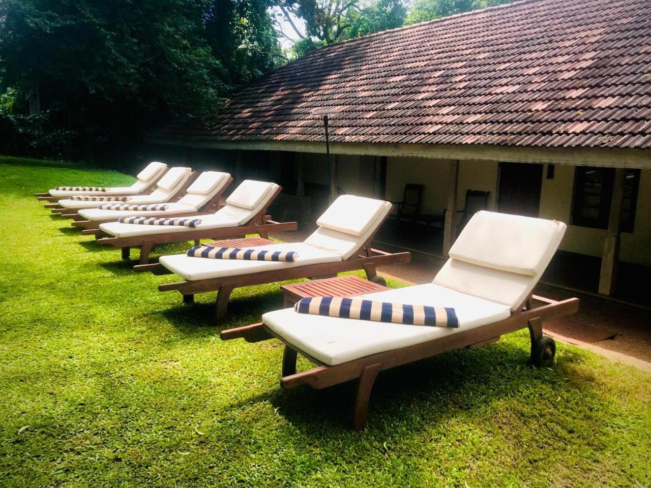 เอคโค สิคีรียา Hotel สิกิริยา ภายนอก รูปภาพ
